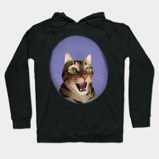 Green Eyed Tabby Cat Hoodie